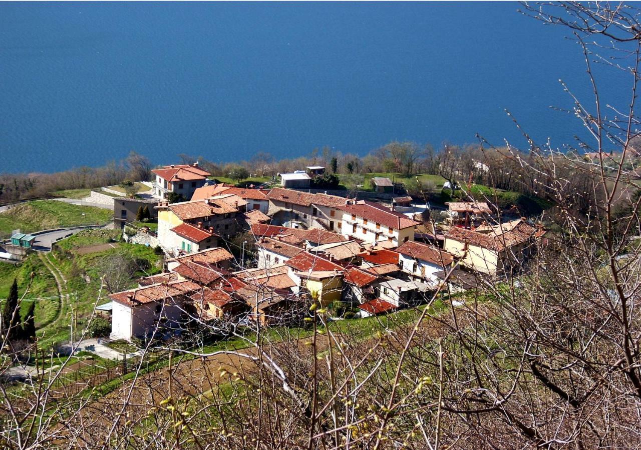 Foresteria La Ceriola مونتي ايزولا المظهر الخارجي الصورة